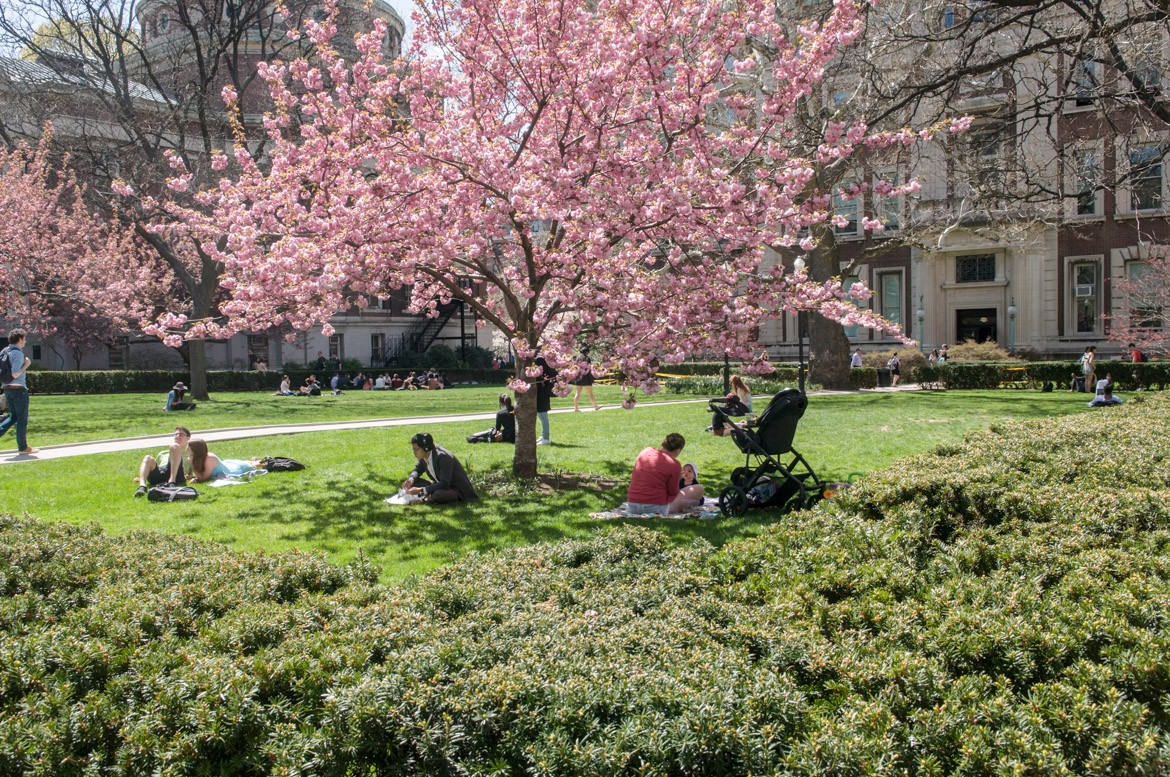 people sitting on Columbia lawn