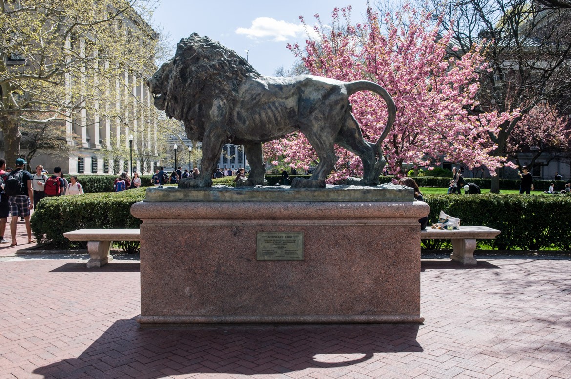 Columbia Lion